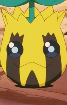 Sunkern