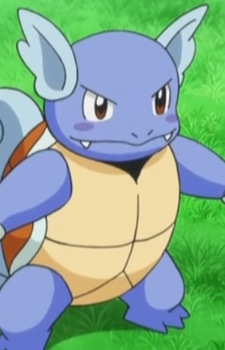 Wartortle