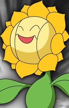 Sunflora