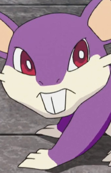 Rattata