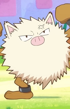 Primeape
