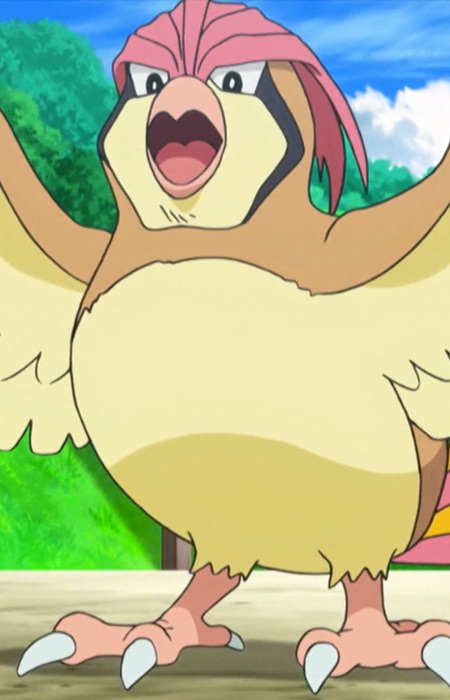 Pidgeotto