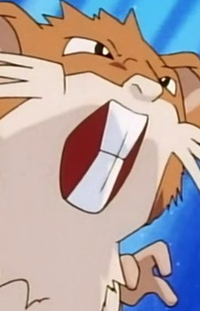 Raticate
